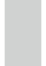 Load image into Gallery viewer, Zurfiz SUPERMATT LUXE